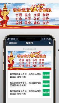 媒体爆料范文素材大全最新